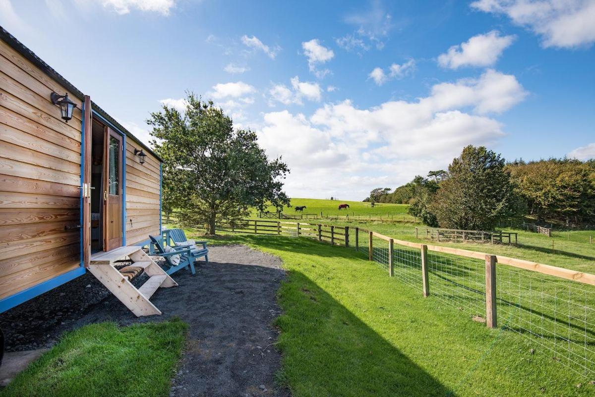 Cow Parsley Shepherd'S Hut Berwick Upon Tweed Buitenkant foto