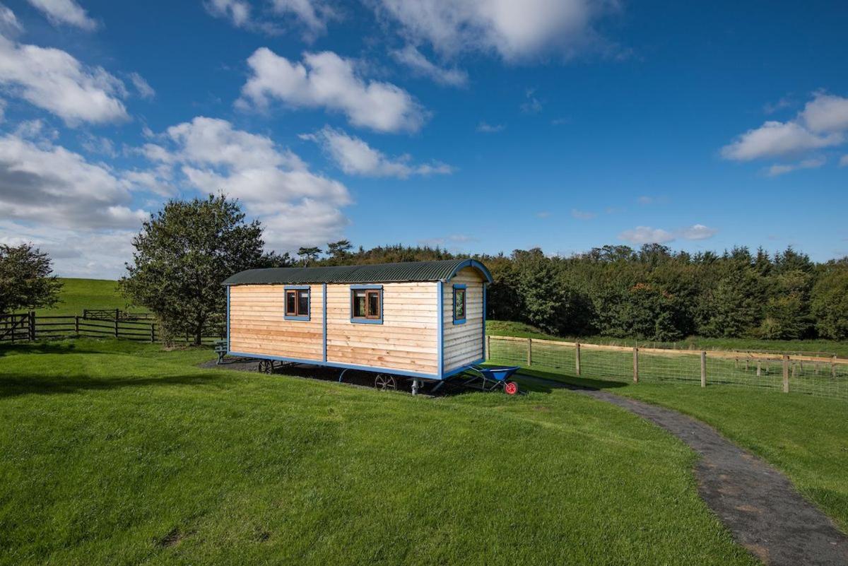 Cow Parsley Shepherd'S Hut Berwick Upon Tweed Buitenkant foto