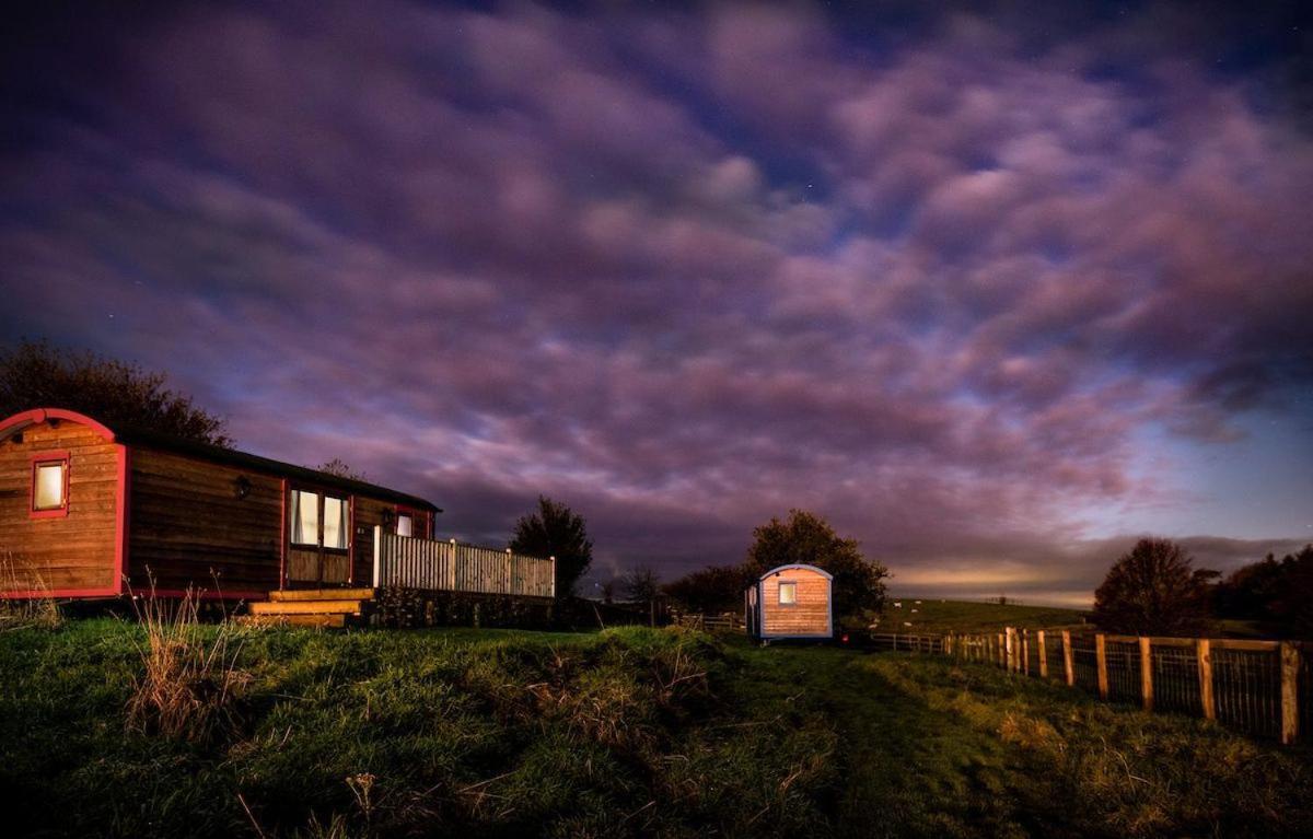 Cow Parsley Shepherd'S Hut Berwick Upon Tweed Buitenkant foto